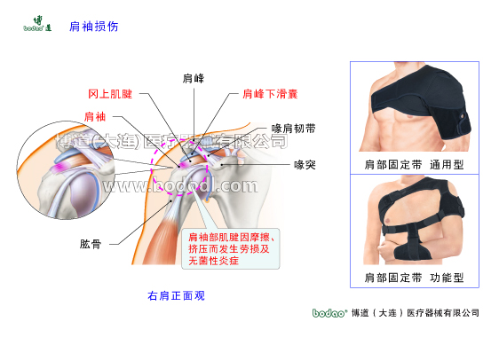 肩關節(jié)的常見疾病與健康防護