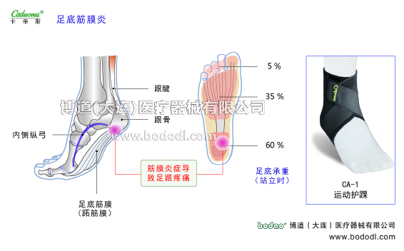 踝關(guān)節(jié)的運(yùn)動(dòng)損傷與防護(hù)