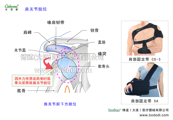肩關節(jié)的運動損傷與防護