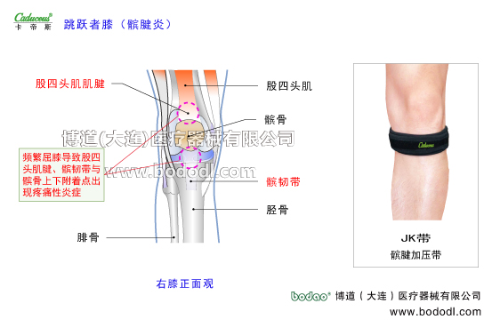 膝關(guān)節(jié)的運(yùn)動(dòng)損傷與防護(hù)