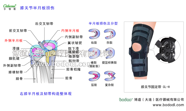 膝關(guān)節(jié)的運(yùn)動(dòng)損傷與防護(hù)