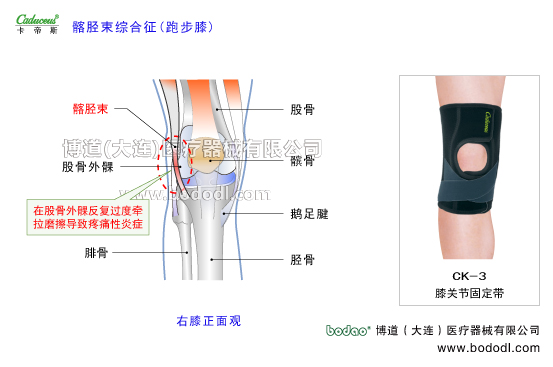 膝關(guān)節(jié)的運(yùn)動(dòng)損傷與防護(hù)