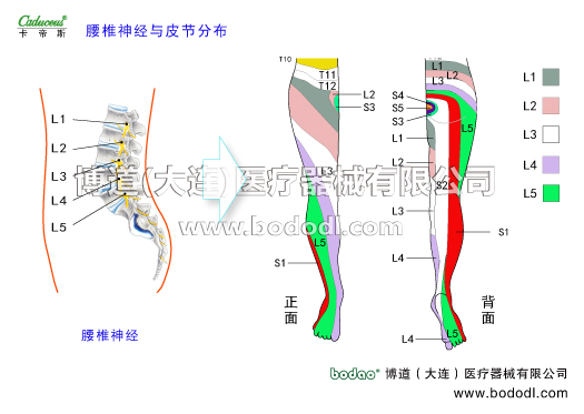 腰椎部的運動損傷與防護