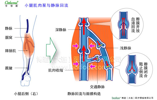肌肉痙攣與加壓防護
