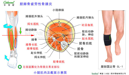 肌肉損傷與運動防護(hù)
