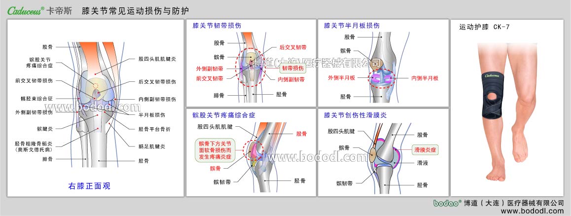 MAJOR SPORTS INJURY OF KNEE JOINT 