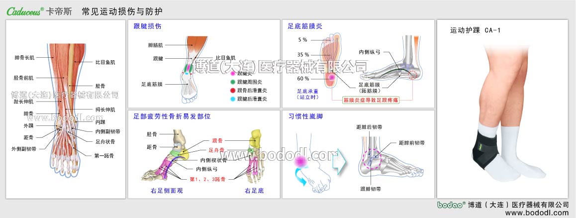MAJOR SPORTS INJURY OF ANKLE JOINT