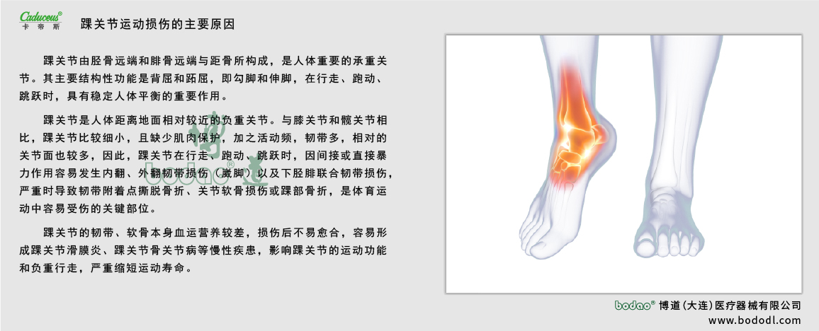 踝關節(jié)的運動損傷
