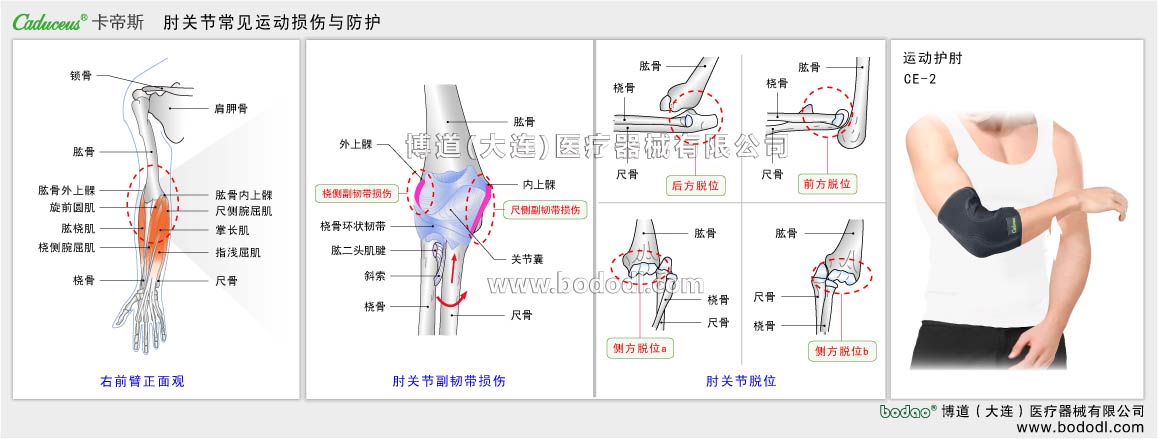 COMMON DISEASES OF ELBOW JOINT