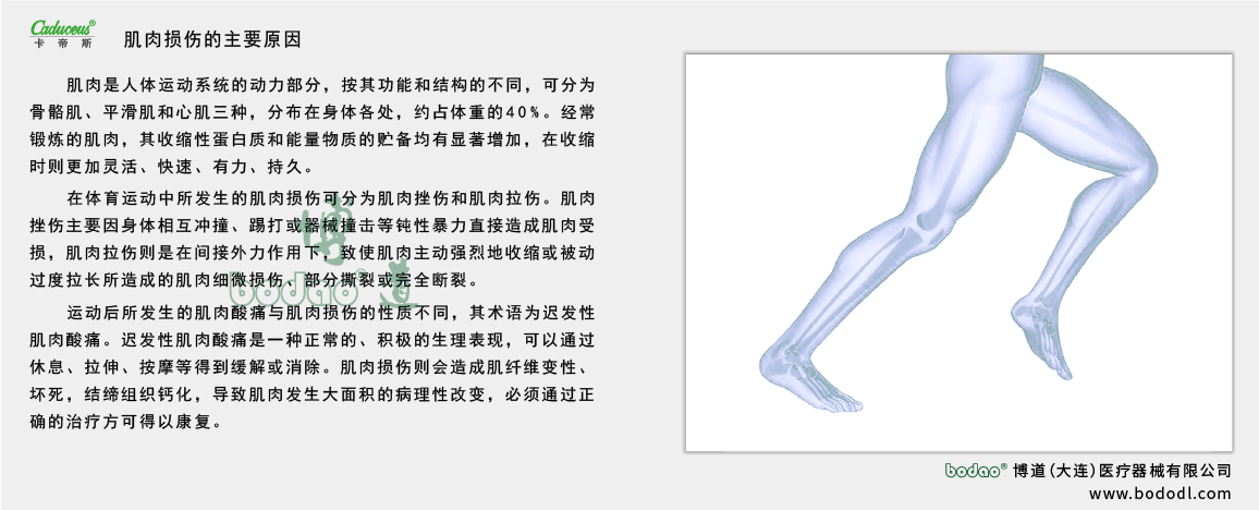 肌肉的運(yùn)動(dòng)損傷