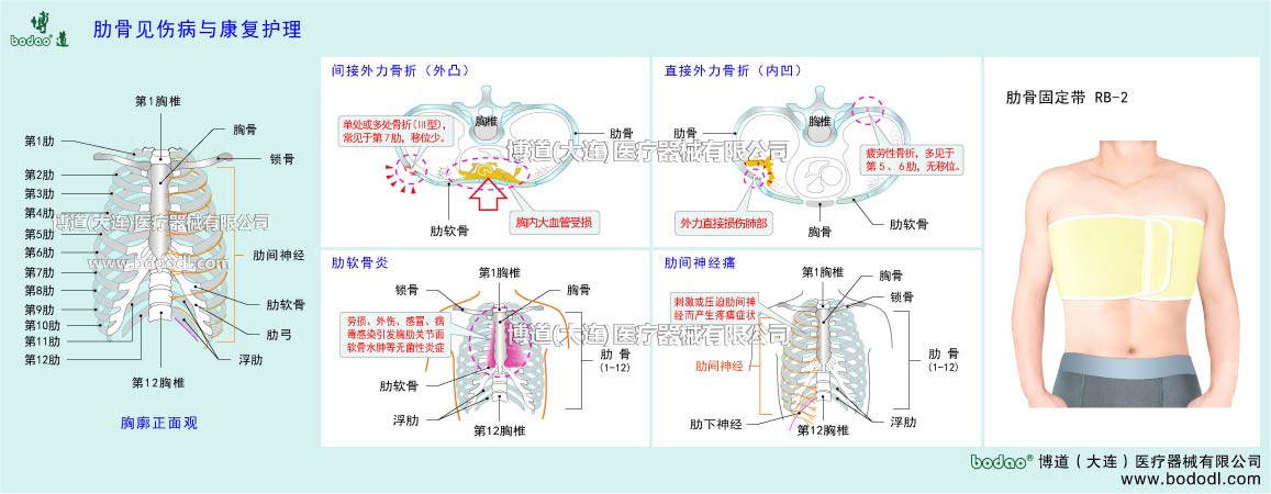 胸郭?肋骨の主な疾患