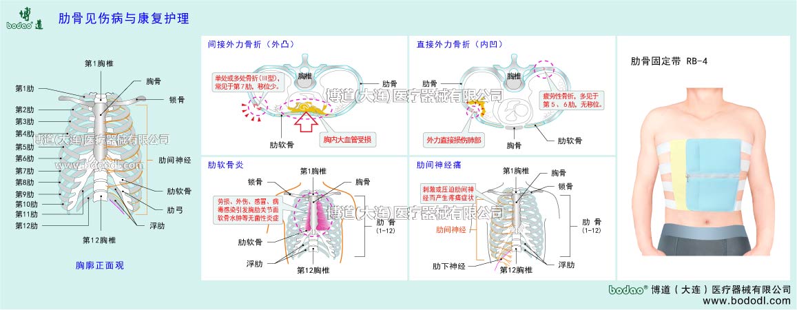 COMMON DISEASES OF CHEST AND RIBS