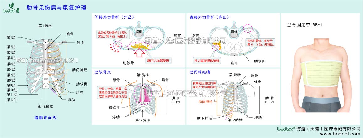 COMMON DISEASES OF CHEST AND RIBS
