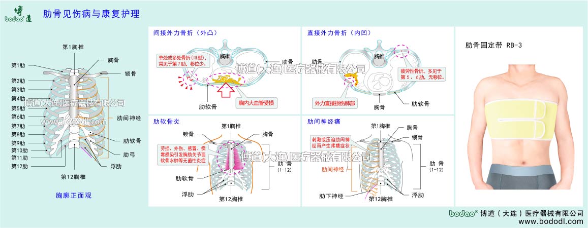 COMMON DISEASES OF CHEST AND RIBS