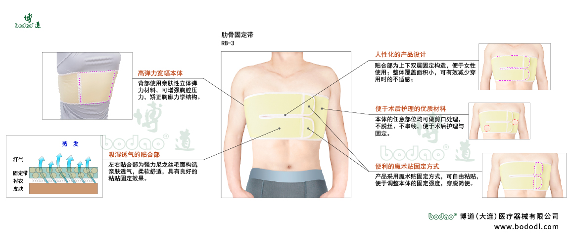 胸肋固定帶的產(chǎn)品詳情