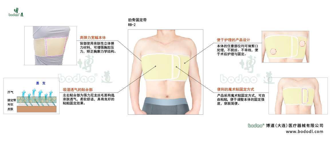胸肋固定帶的產(chǎn)品詳情