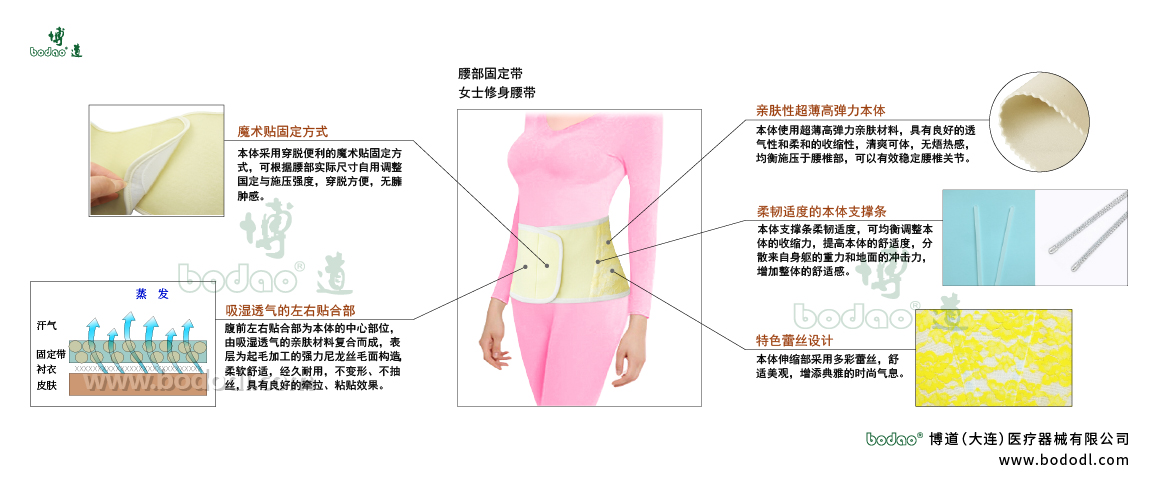 腰部固定帶的產(chǎn)品詳情