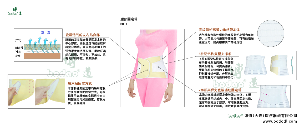腰部固定帶的產(chǎn)品詳情