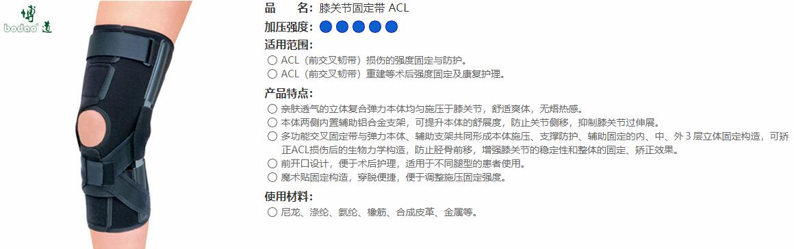 前十字靭帯　ACL 