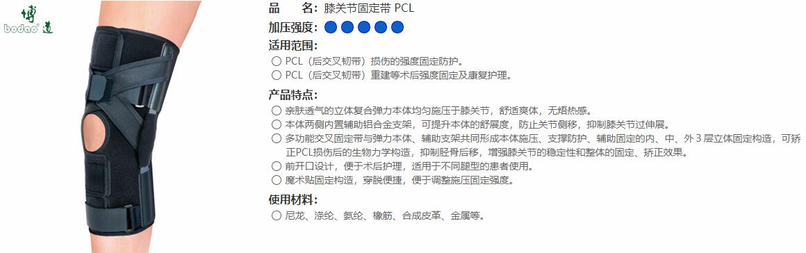 後十字靱帯　PCL 