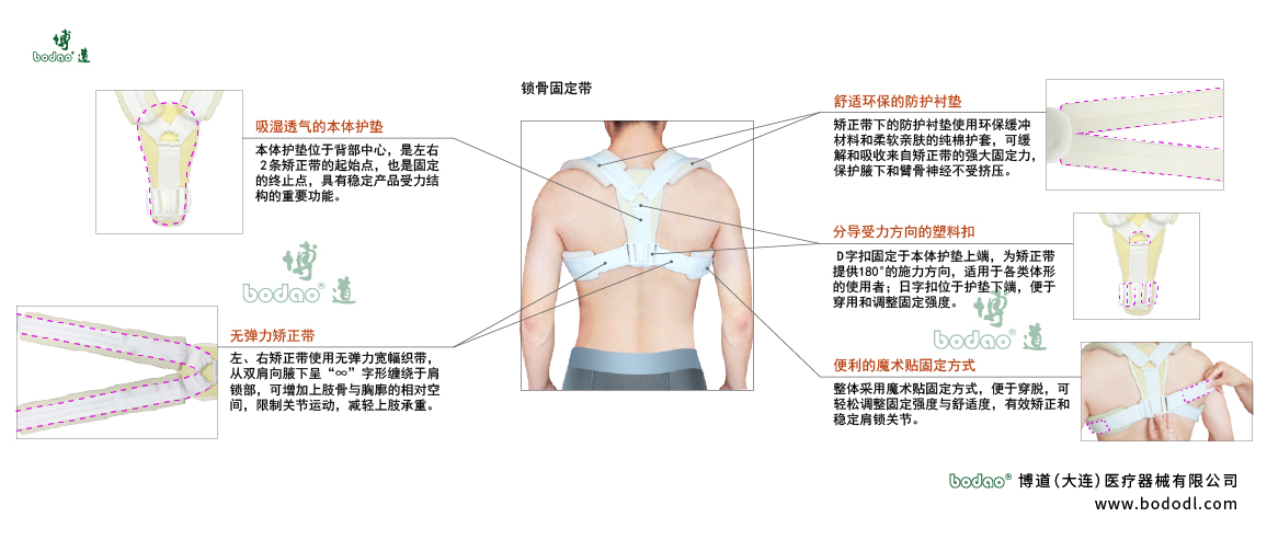 肩鎖固定帶的產品詳情