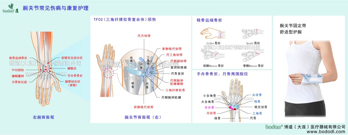 手関節(jié)の主な疾患