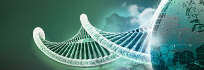 スポット情報(bào)